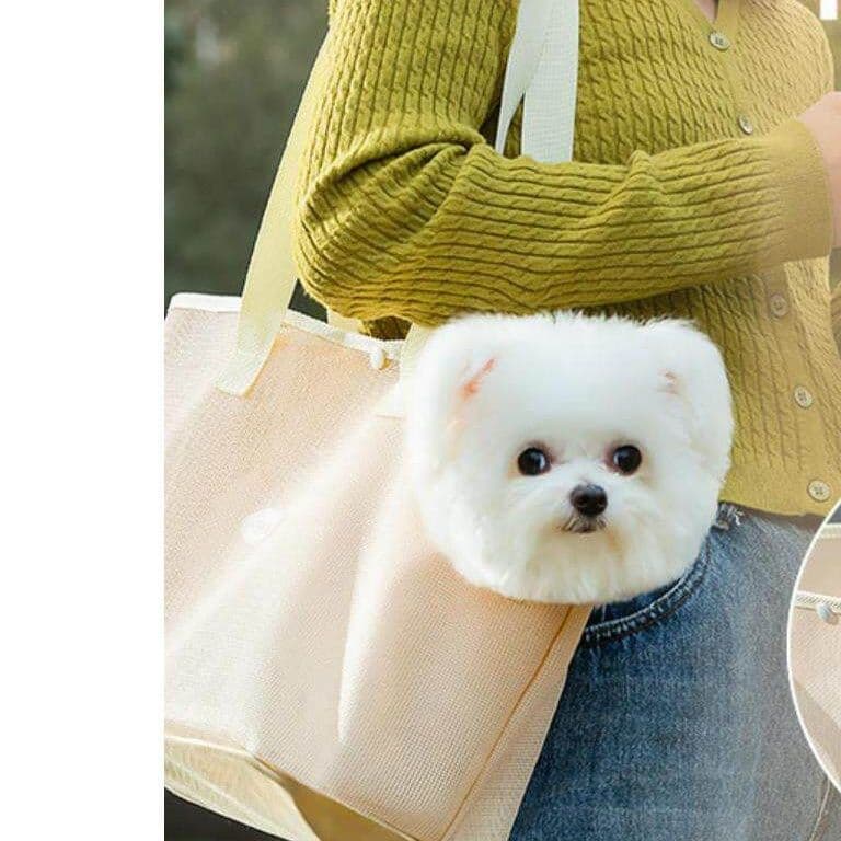 犬バッグ 通気性抜群メッシュ素材の小型犬用お出かけトートバッグ