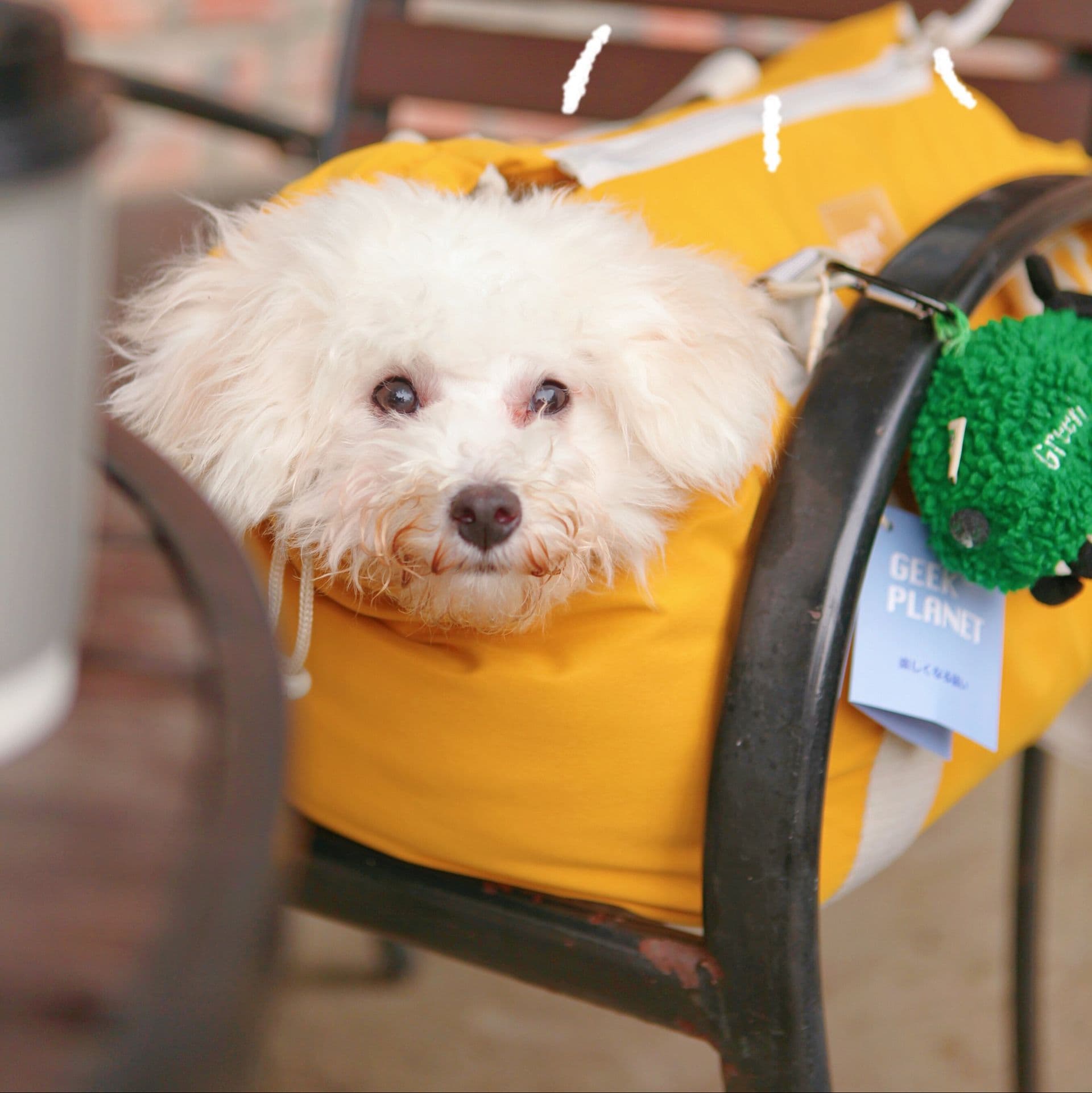 犬バッグ 多機能ポケット付きリュック型犬用キャリーバッグ