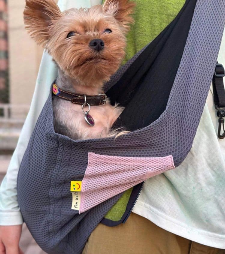 犬バッグ 通気性抜群メッシュ素材小型犬用斜め掛けスリング
