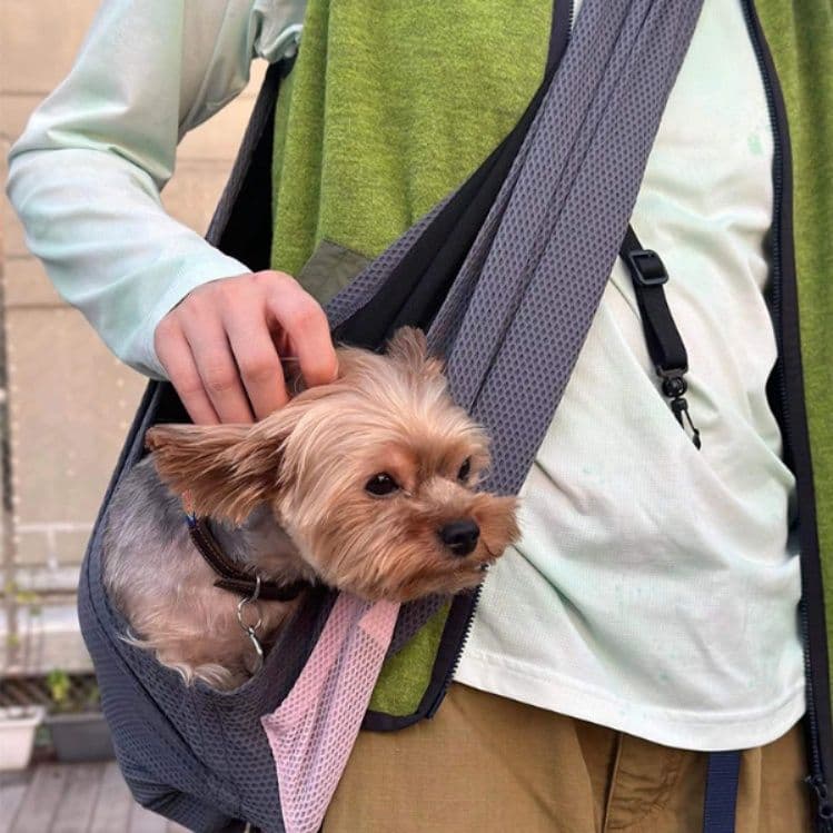 犬バッグ 通気性抜群メッシュ素材小型犬用斜め掛けスリング