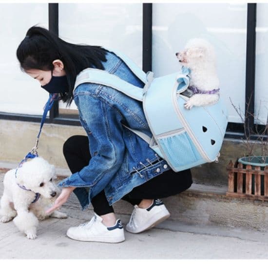 犬バッグ 通気性抜群メッシュ窓付き小型犬用キャリーリュック