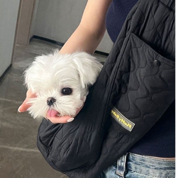 犬バッグ 小型犬専用キルティングスリング型犬バッグ