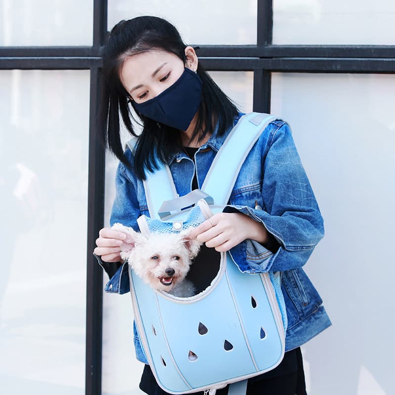 犬バッグ 通気性抜群メッシュ窓付き小型犬用キャリーリュック