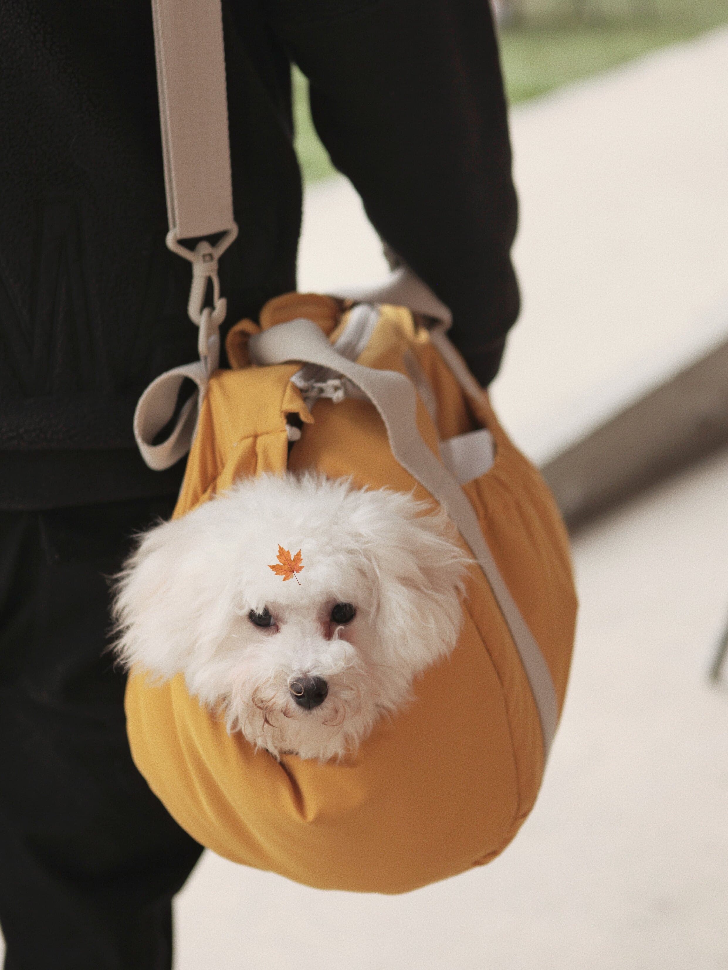 犬バッグ 多機能ポケット付きリュック型犬用キャリーバッグ