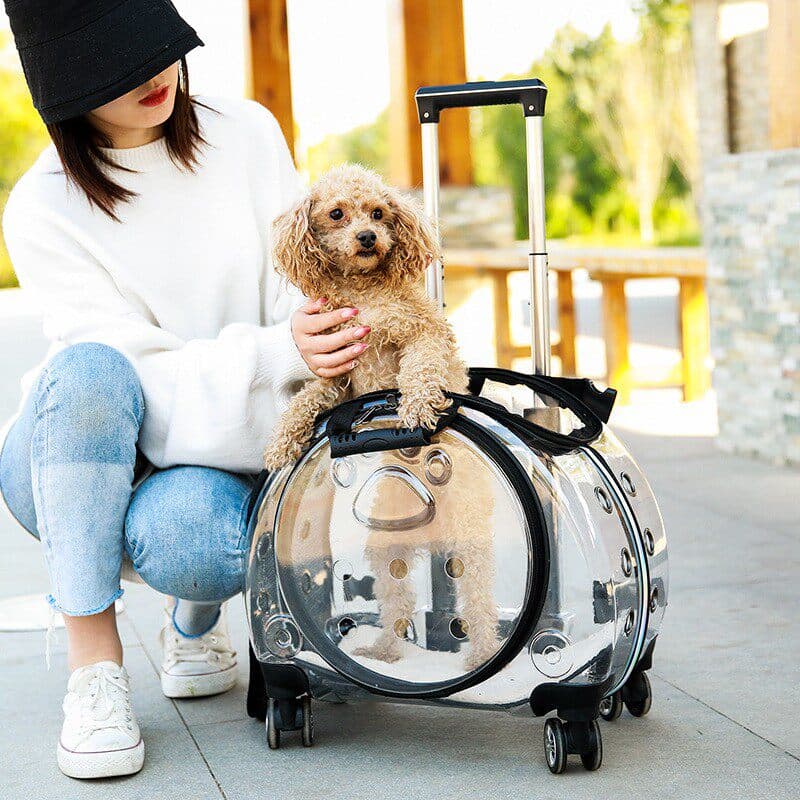 犬バッグ 透明カプセル型四輪キャスター付き犬用キャリーバッグ