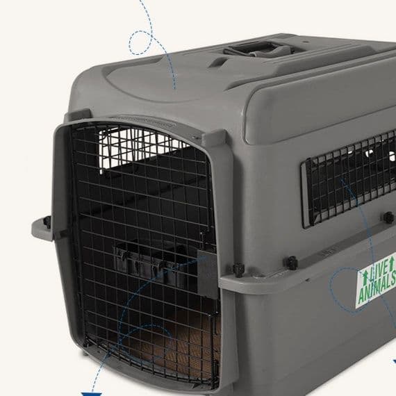 犬バッグ 大型犬対応航空機基準ハードキャリーケース