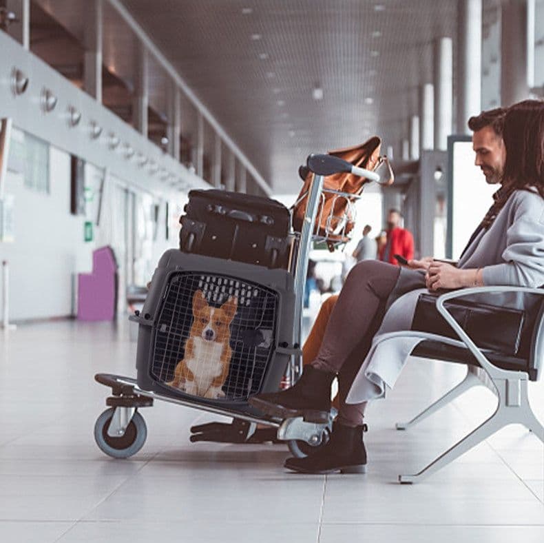 犬バッグ 大型犬対応航空機基準ハードキャリーケース