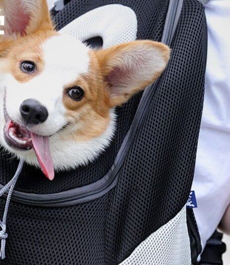 犬バッグ 通気性抜群メッシュ素材ペット用前抱きリュック