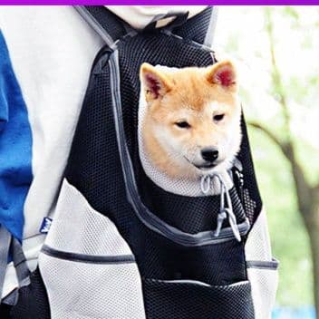 犬バッグ 通気性抜群メッシュ素材ペット用前抱きリュック