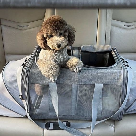 犬バッグ 拡張式二層構造犬用車載キャリーバッグ