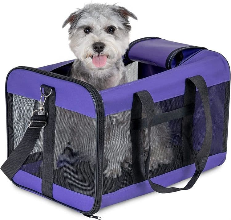 犬バッグ 通気性抜群メッシュ窓付き小型犬用キャリーバッグ