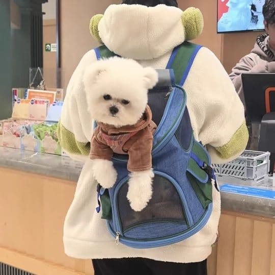 犬バッグ 小型犬用メッシュ窓付き通気性抜群リュック