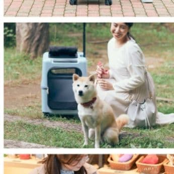 犬バッグ 大容量80リットル伸縮ハンドル付きペット移動用キャリー