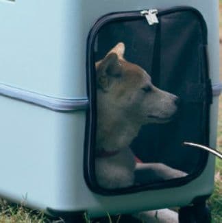 犬バッグ 大容量80リットル伸縮ハンドル付きペット移動用キャリー