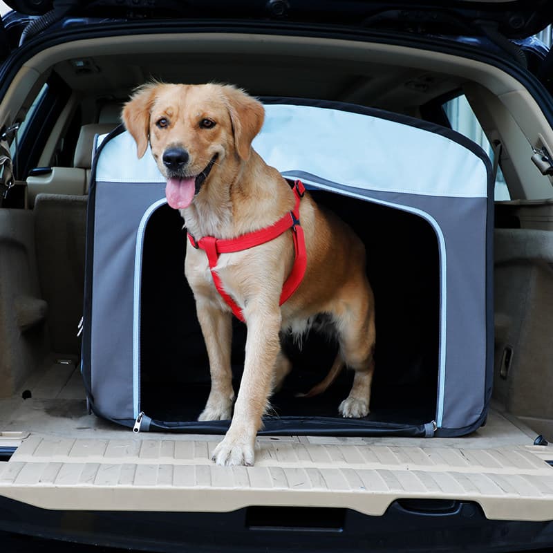 犬バッグ 大型犬対応折りたたみ式車載用ドライブキャリー