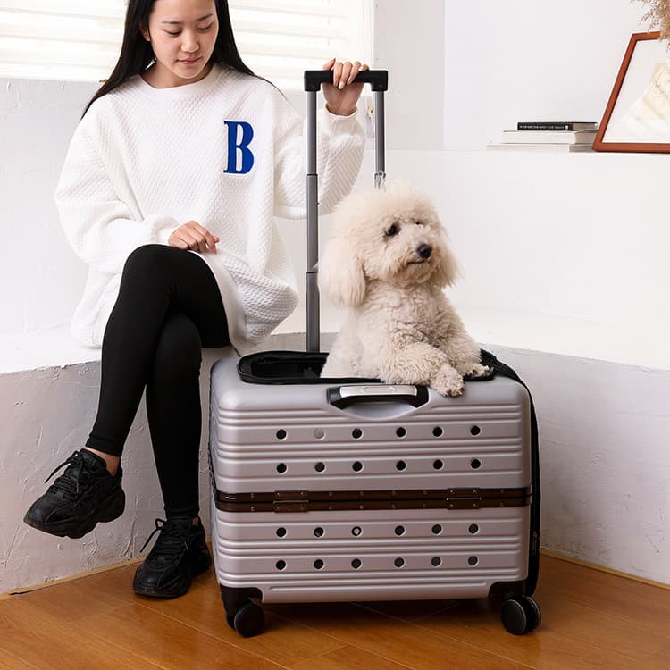 犬バッグ 四輪キャスター付きハードケース型犬用移動キャリー
