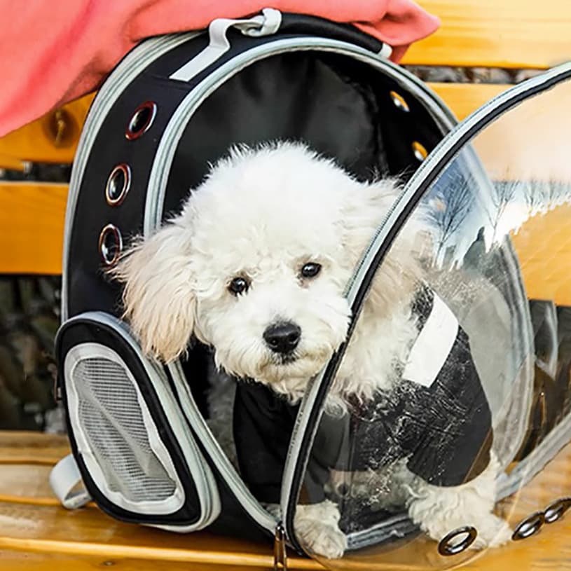 犬バッグ 透明窓付き宇宙船型ペット用キャリーリュック