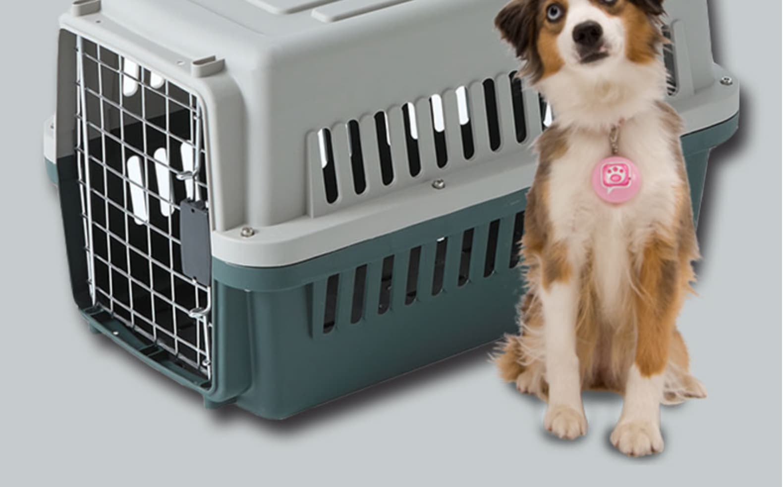 犬バッグ 通気性抜群ハードタイプペットキャリーケース